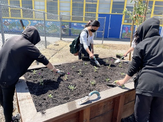 Students working with soil in raised garden bed
