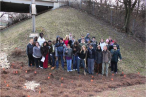 Rain Garden Run Off