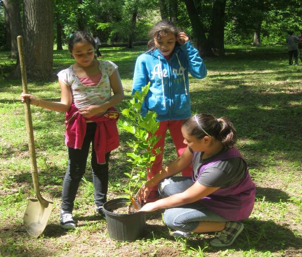 tree planting project title ideas