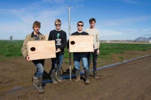 students with owl boxes
