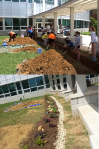 Students working and finished garden