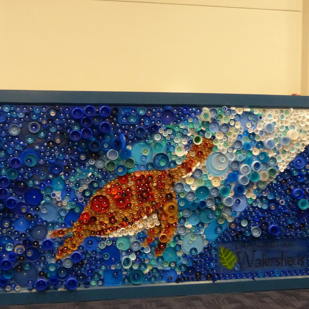 trash or treasure greeley colorado student project implementation