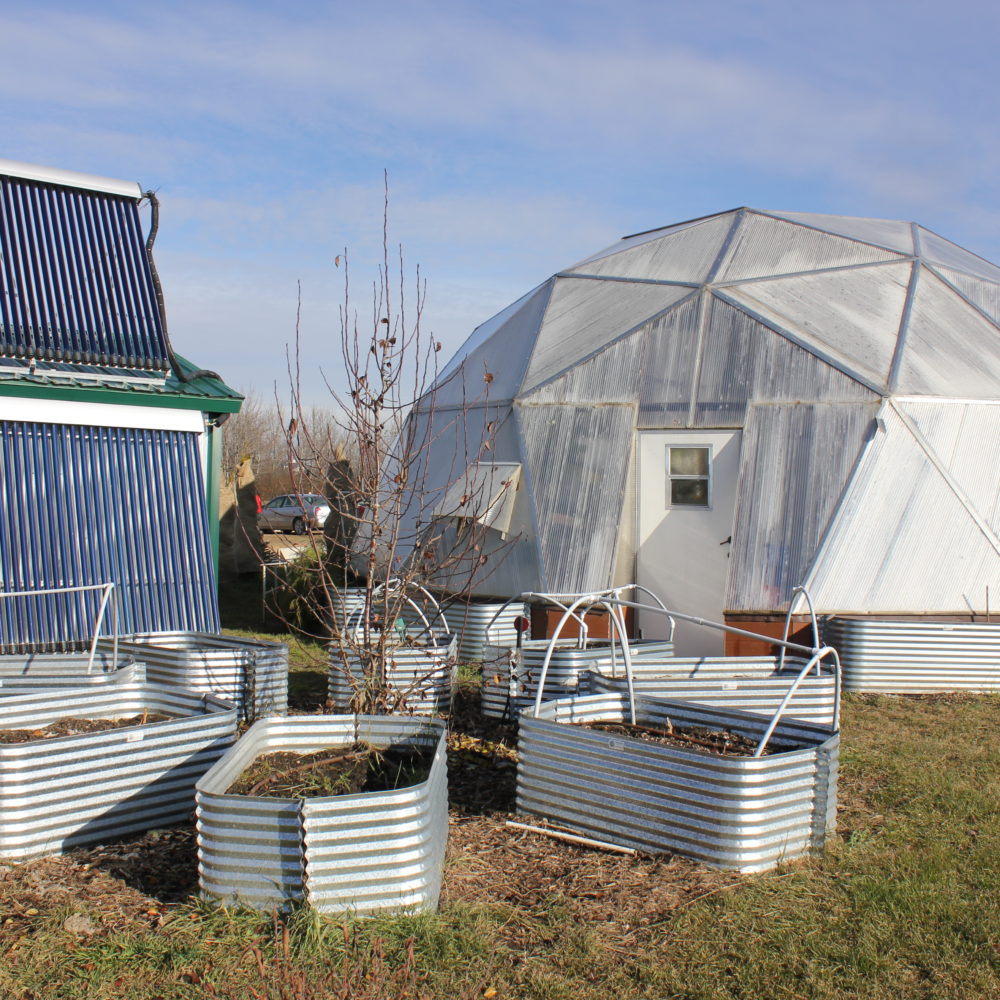 Life & BeeWise school greenhouse aquaponics system and outdoor gardens central alberta
