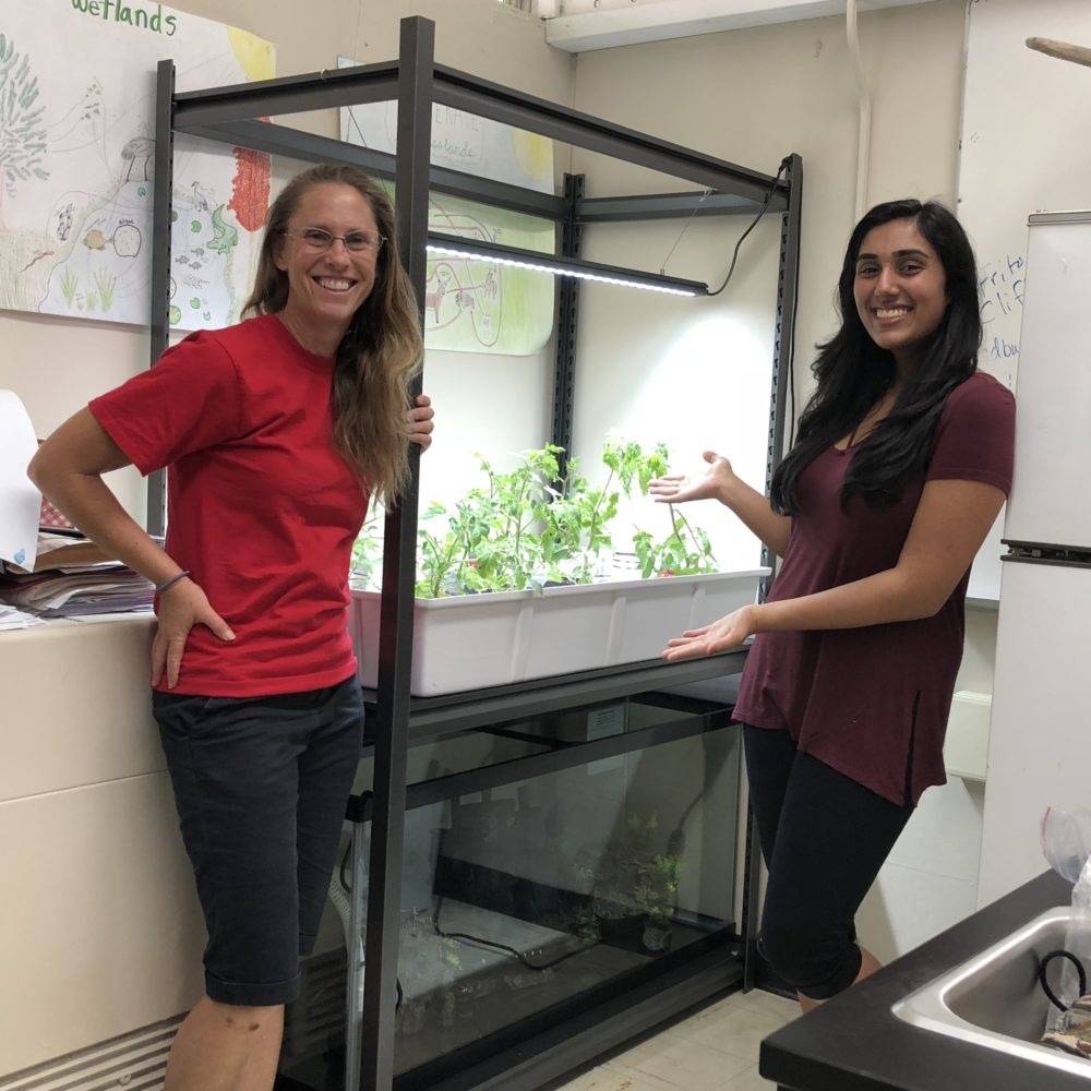 Aquaponics at Mira Loma