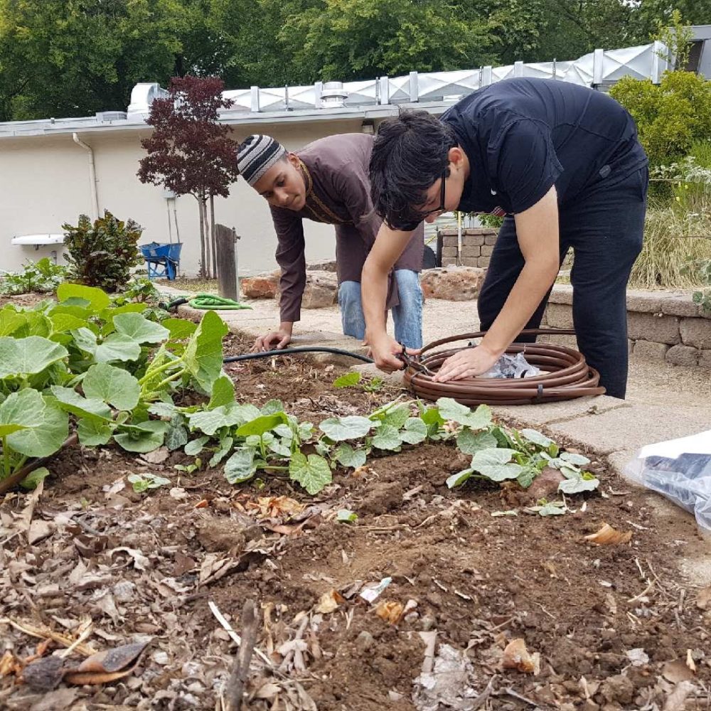 Drip Irrigation MET