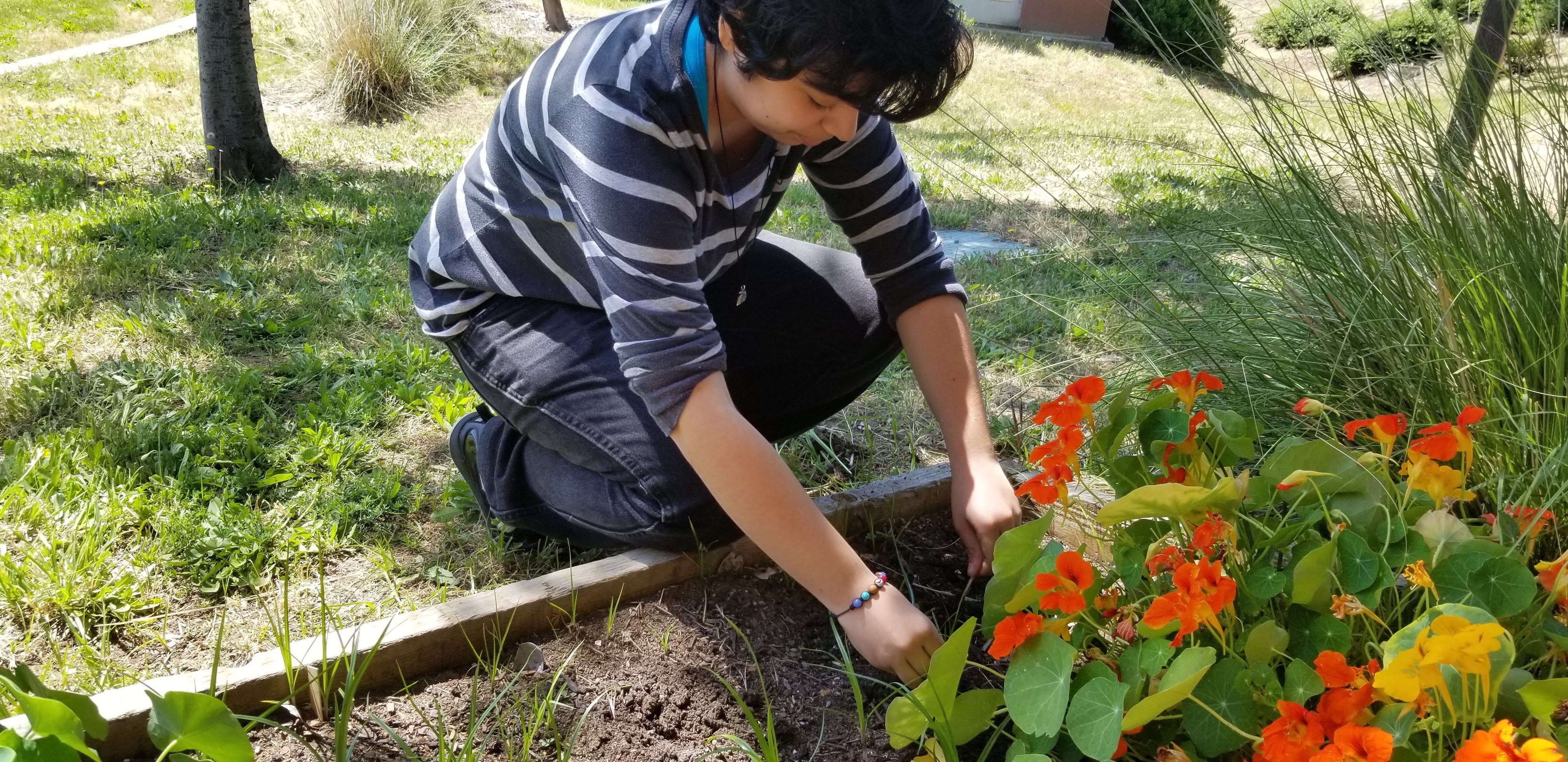 biochar student action