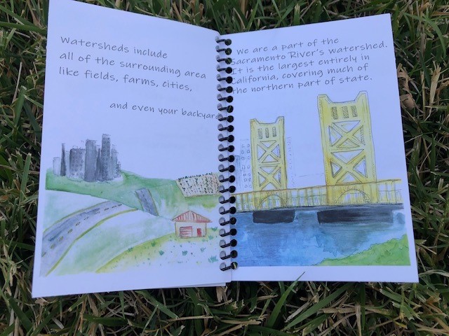 watershed childrens book example