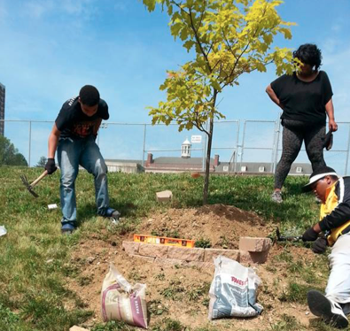 TREE WELLS TO PROTECT TREES-1