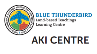 Blue Thunderbird logo