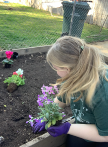 Girl planting drought tolerant plants