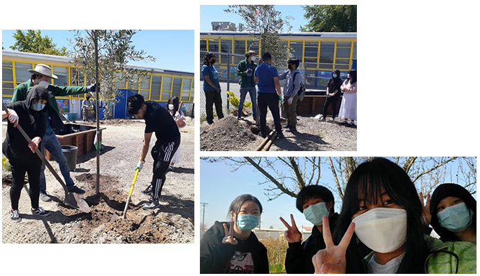 1. Students digging hole for a tree 2. Students planting a tree 3. Students posing for camera