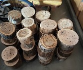 Stumps of wood on ground